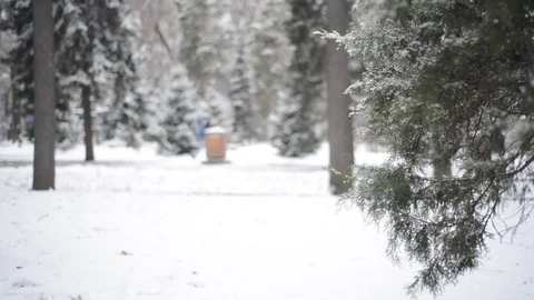 Snow covered park - running Stock Footage 70790530