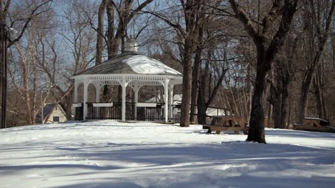 Snow covered park in the winter. Stock Footage 171687054
