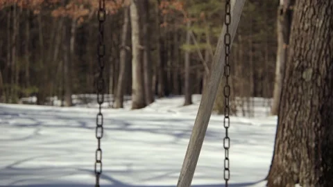 Snow covered park in the winter. Stock Footage 171687082