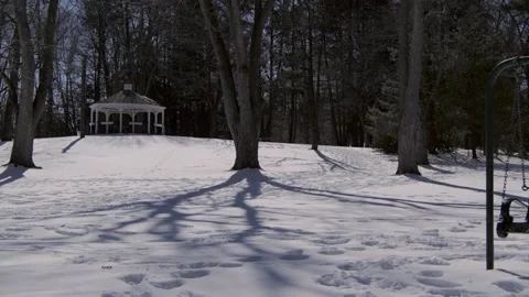 Snow covered park in the winter. Stock Footage 171689117