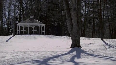 Snow covered park in the winter. Stock Footage 171689119