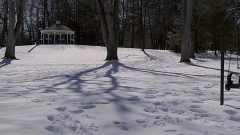 Snow covered park in the winter. Stock Footage 171689127