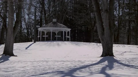 Snow covered park in the winter. Stock Footage 171689136