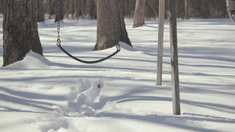Snow covered park in the winter. Stock Footage 171689209