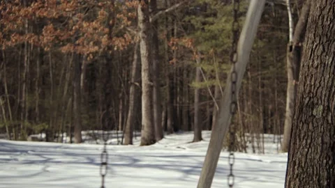 Snow covered park in the winter. Stock Footage 171689396