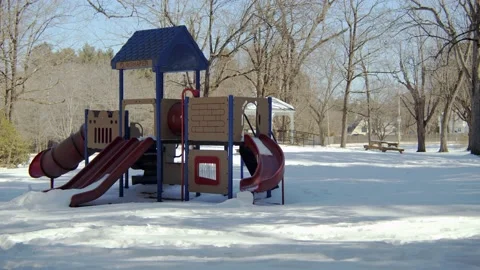 Snow covered park in the winter. Stock Footage 171689415