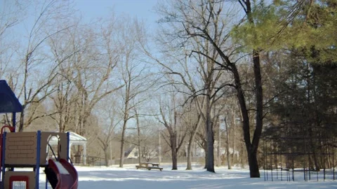 Snow covered park in the winter. Stock Footage 171689498