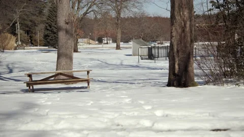 Snow covered park in the winter. Stock Footage 171689517
