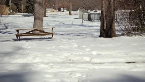 Snow covered park in the winter. Stock Footage 171689524