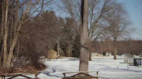 Snow covered park in the winter. Stock Footage 171689527