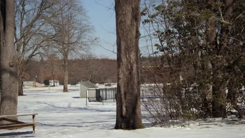 Snow covered park in the winter. Stock Footage 171689530