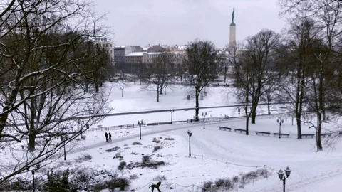 Snow covered park in winter with snow fall Stock Footage 100684778