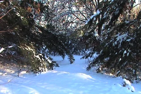 Snow covered passage Stock Footage 1067957