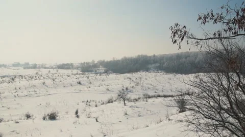 Snow covered pasture Stock Footage 104612073
