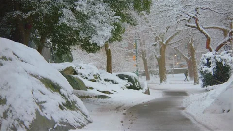 Snow-covered path in Central Park, New York City, with trees and classic lamppos Stock Footage 309305635