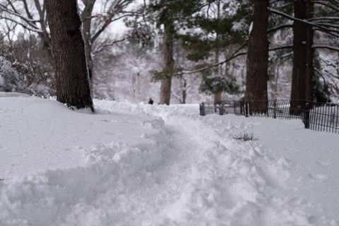 Snow covered path in Central Park after heavy snowfall Stock Photos