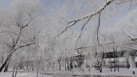 Snow-covered path in the city park Stock-Footage 168945340