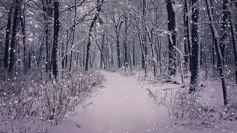 Snow covered path Stock Footage 86062784