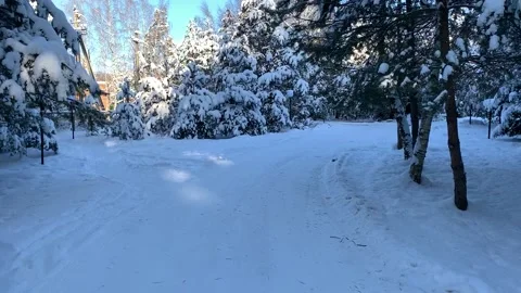 A snow-covered path Stockbeeldmateriaal 172099323