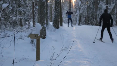 Snow-covered path in forest during winter with signpost near sunset hour Stock Footage 343507530
