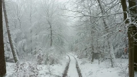 Snow covered path in forest Video stock 152396935