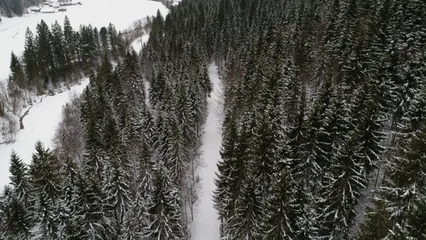 Snow covered path going through dense woodland, Jenbach Forest Stock Footage 102427731