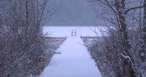 Snow Covered Path to a Lake During a Light Snowfall Stock Footage 100792556