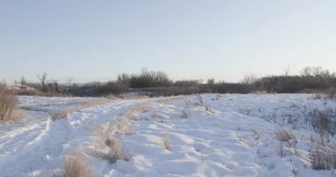Snow-covered path leading through a natural winter landscape Stock Footage 332378183