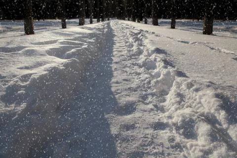 Snow covered path at night Stock Photos