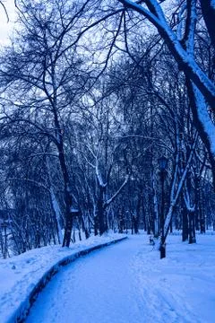 Snow covered path in the park Stock Photos