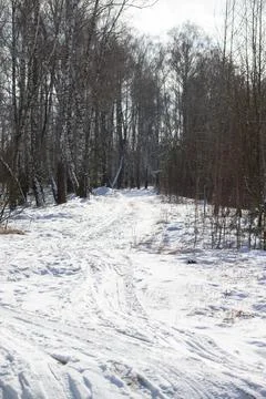 Snow-covered path through trees in a forest during winter near a remote are.. Stock Photos
