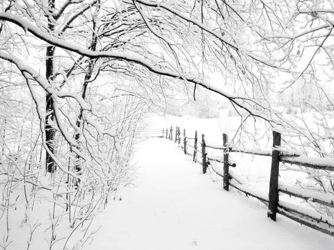 Snow-covered path with trees and fence in a tranquil winter landscape Stock Photos
