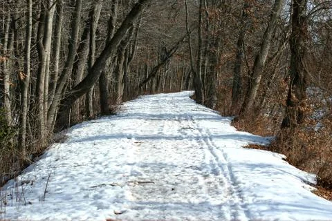 Snow covered path in the woods Stock Photos