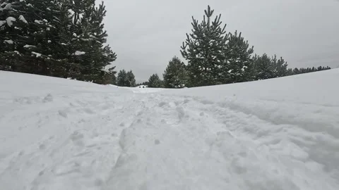 Snow-Covered Pathway in a Tranquil Winter Landscape Surrounded by Pine Trees 库存影片 346740697