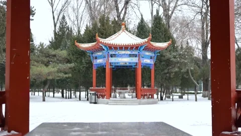 Snow-Covered Pavilion Video stock 343804420