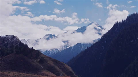 Snow Covered Peaks and Pine Hills in Mountain Range Stock Footage 321892287