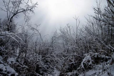 Snow-covered Stock Photos