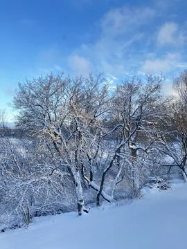 Snow Covered Stock Photos