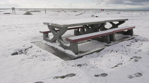 Snow-covered picnic table in a park. Stock Footage 220315423