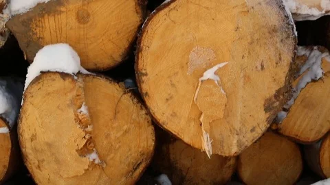 Snow-covered pile of logs 库存影片 84778452