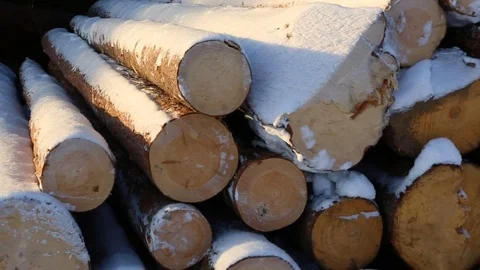 Snow-covered pile of logs Video stock 84778454