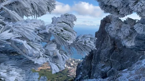 Snow-covered pine - Beautiful panoramic view of Mount Ai-Petri. Stock Footage 122200596