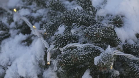 Snow-covered pine branch in winter with Christmas lights in the background 스톡 동영상 295292980