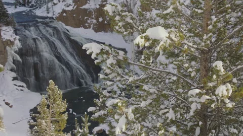 Snow-covered pine branches beside a majestic waterfall in winter scenery Stock Footage 288493905