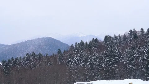 Snow covered pine forest and distant mountains 库存影片 90137004