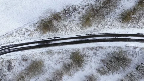 Snow Covered Pine Forest Near Countryside Road. Frosted Trees Frozen Trunks Stock Footage 149178559