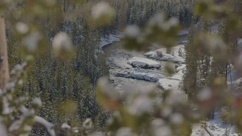 Snow-covered pine tree branches overlook a serene stream in winter's embrace Stock Footage 288488958