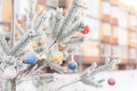 A snow-covered pine tree with Christmas toys in the yard Stock Photos
