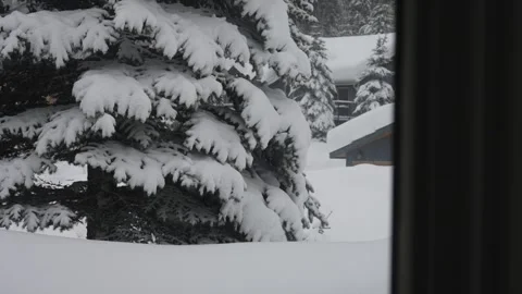 Snow-Covered Pine Tree with Cozy Cabin in Background Through Window View Stock Footage 253121172