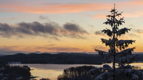 Snow covered pine tree, golden sunset close up. Timelapse. 4K, 25p Vídeo Stock 86889963